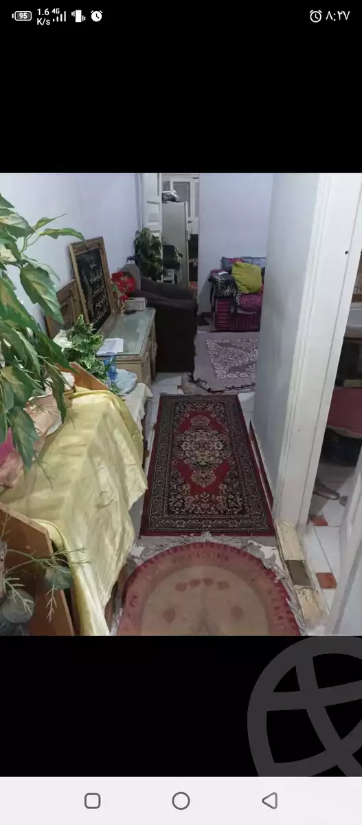 https://aqarmap.com.eg/ar/listing/5702673-for-sale-alexandria-lsywf