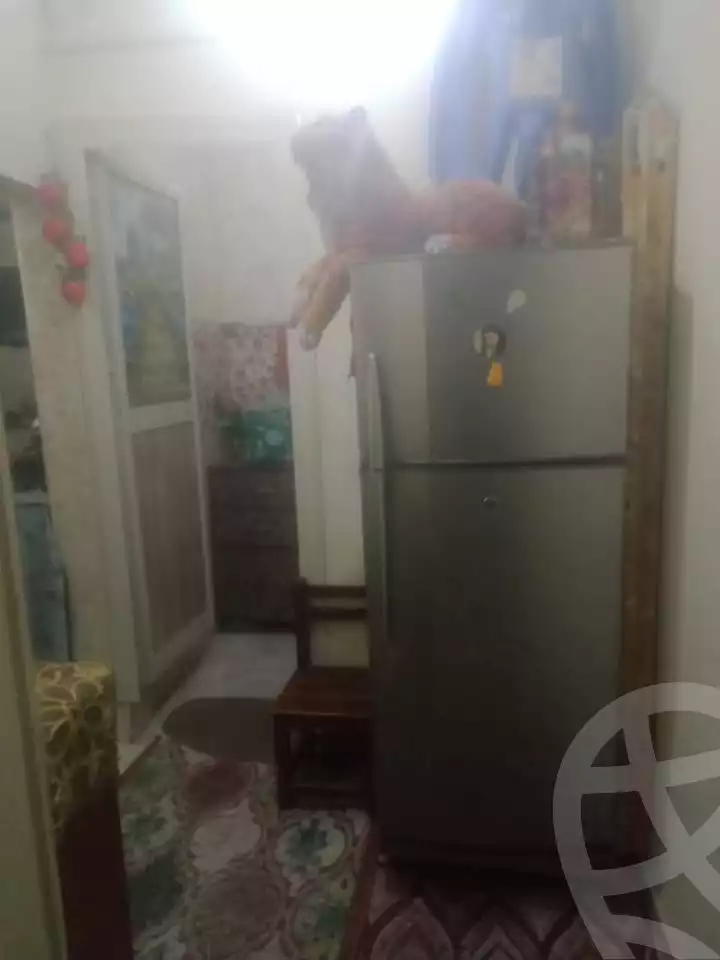 https://aqarmap.com.eg/en/listing/5704128-for-sale-cairo-ain-shams-ahmed-esmat-st