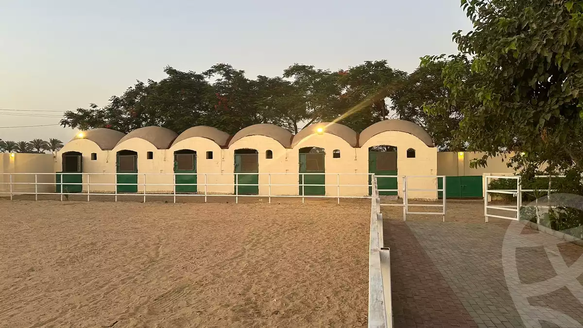 https://aqarmap.com.eg/en/listing/5708465-for-sale-cairo-el-mansuriyyah-el-saliba