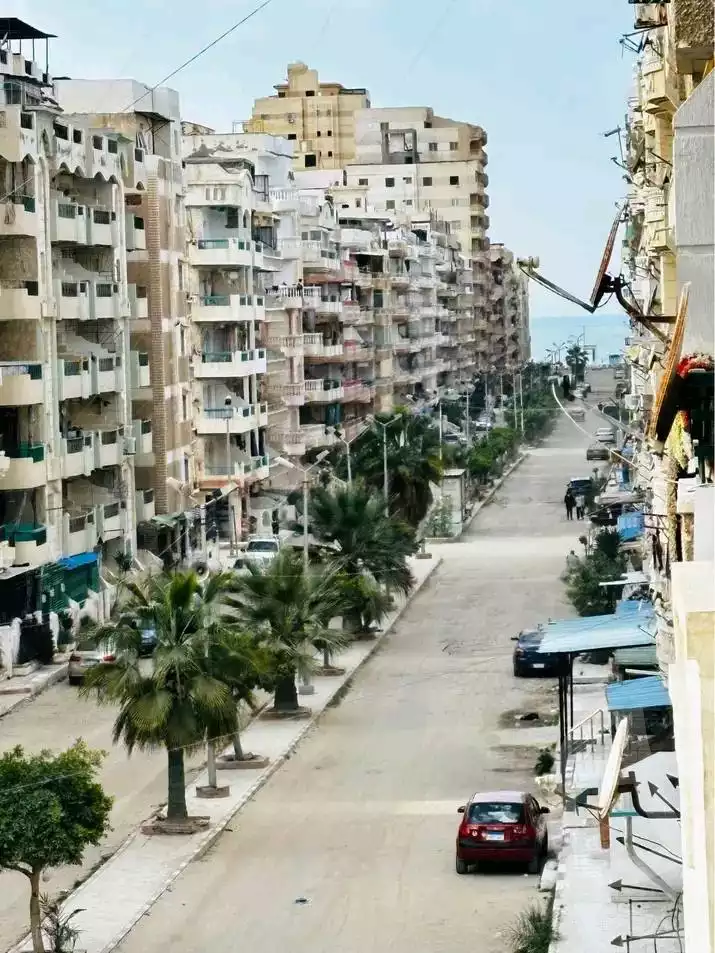 https://aqarmap.com.eg/en/listing/5711104-for-sale-alexandria-l-jmy-shataa-el-nakheel
