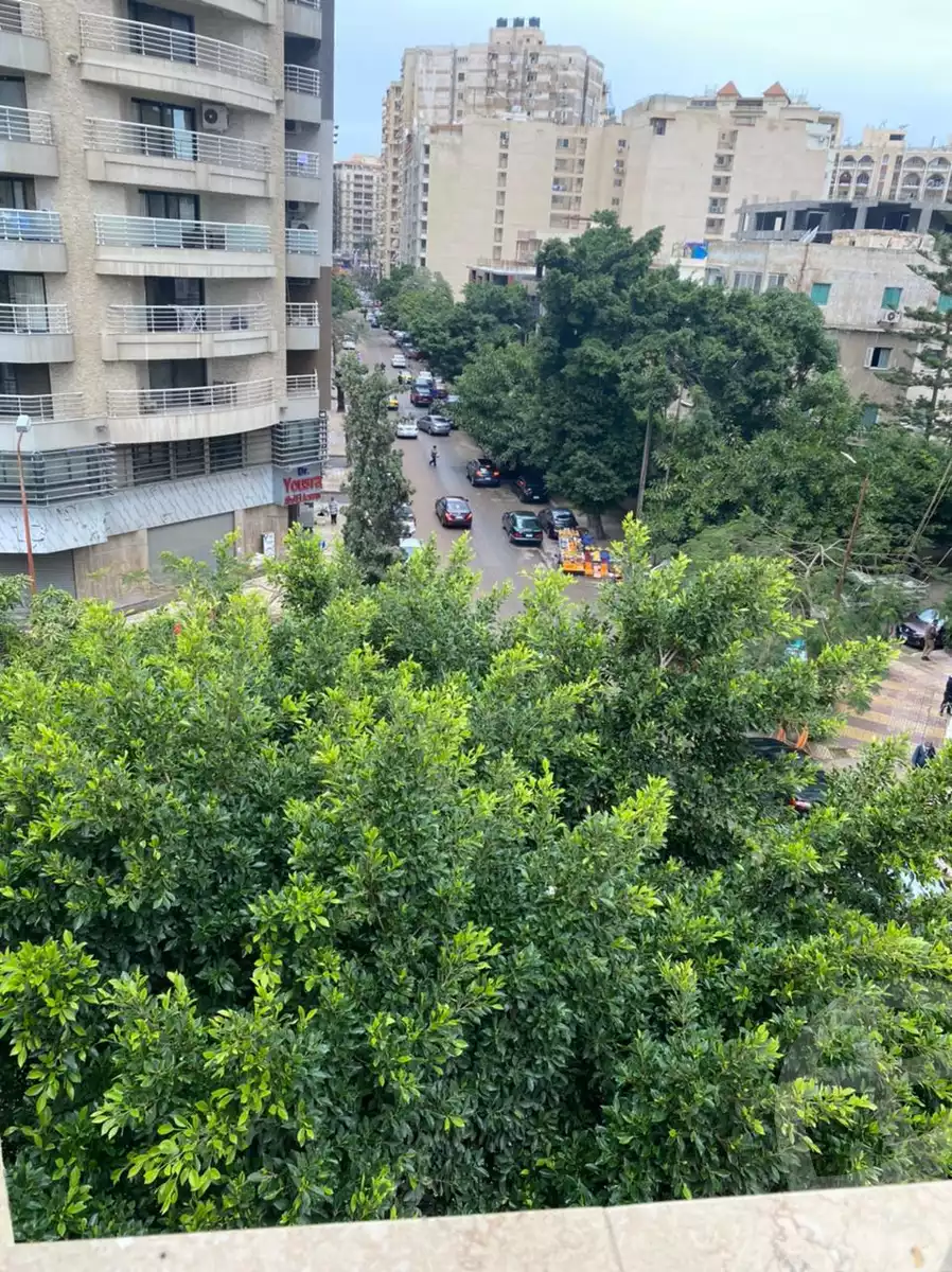 https://aqarmap.com.eg/en/listing/5712818-for-sale-alexandria-smouha-ademon-fremon-st