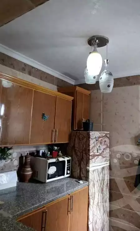 https://aqarmap.com.eg/en/listing/5714864-for-sale-cairo-manial