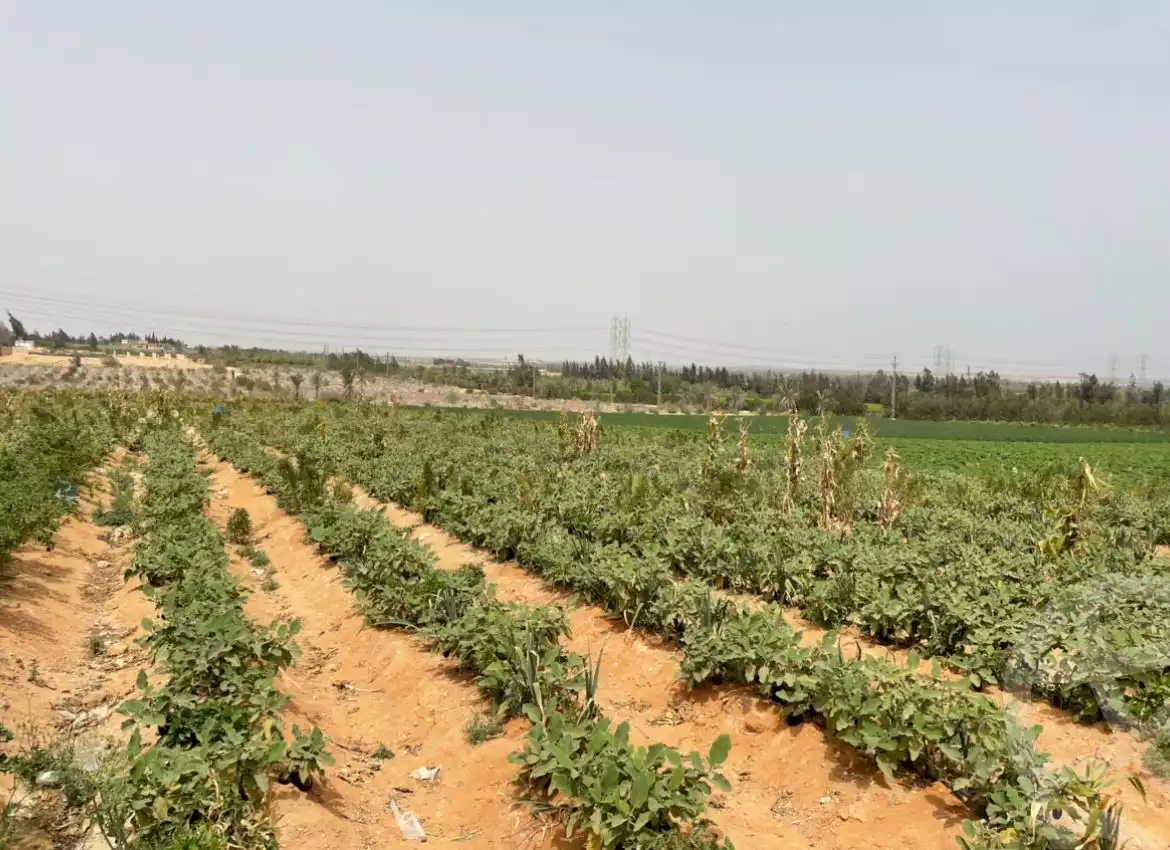 https://aqarmap.com.eg/en/listing/5716551-for-sale-cairo-el-sheikh-zayed-city-alex-cairo-desert-road-mntq-fr-y-btryq-skndryh-lshrwy