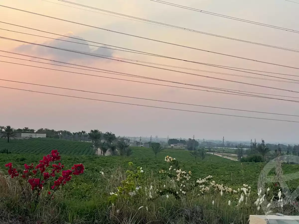 https://aqarmap.com.eg/en/listing/5716551-for-sale-cairo-el-sheikh-zayed-city-alex-cairo-desert-road-mntq-fr-y-btryq-skndryh-lshrwy