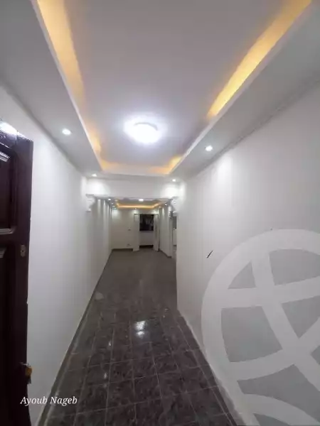https://aqarmap.com.eg/en/listing/5719286-for-sale-alexandria-l-jmy-lbytsh-el-farouk-st