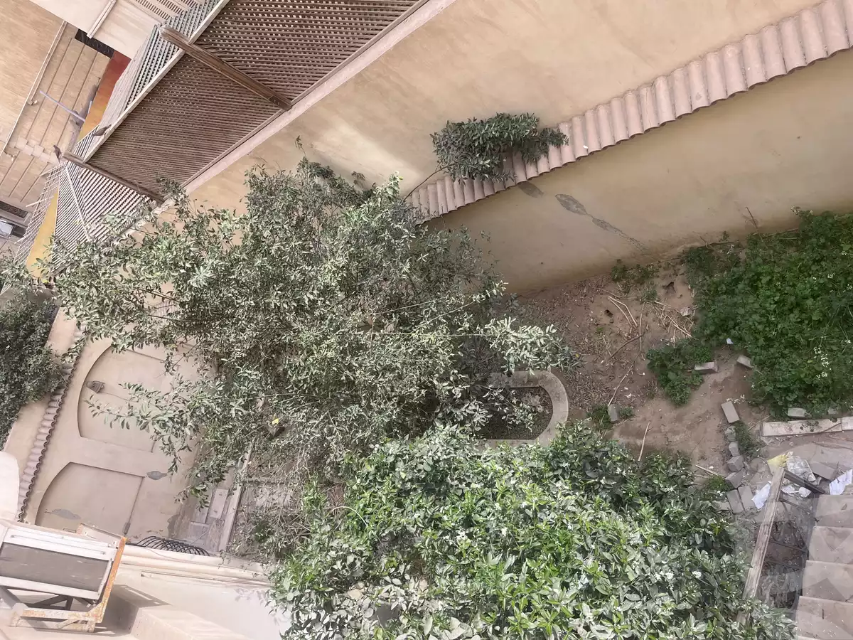 https://aqarmap.com.eg/en/listing/5721315-for-sale-cairo-new-cairo-el-ahyaa-third-neighborhood-street-1