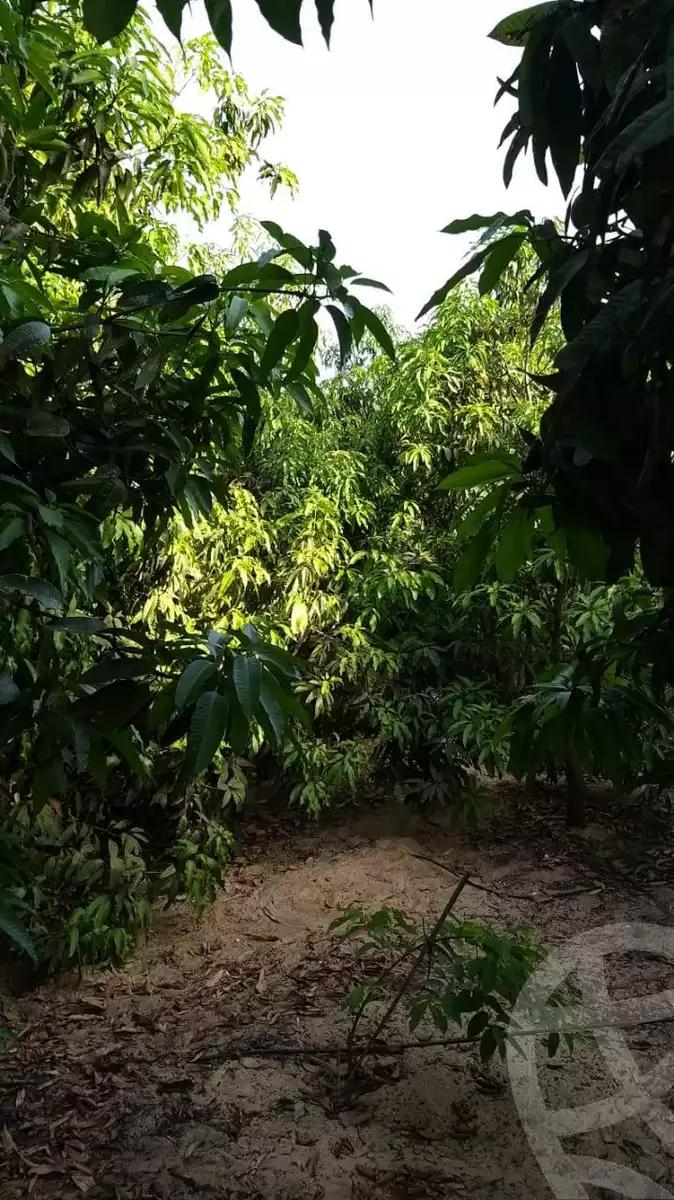 https://aqarmap.com.eg/en/listing/5724847-for-sale-ismailia-ismailia-city