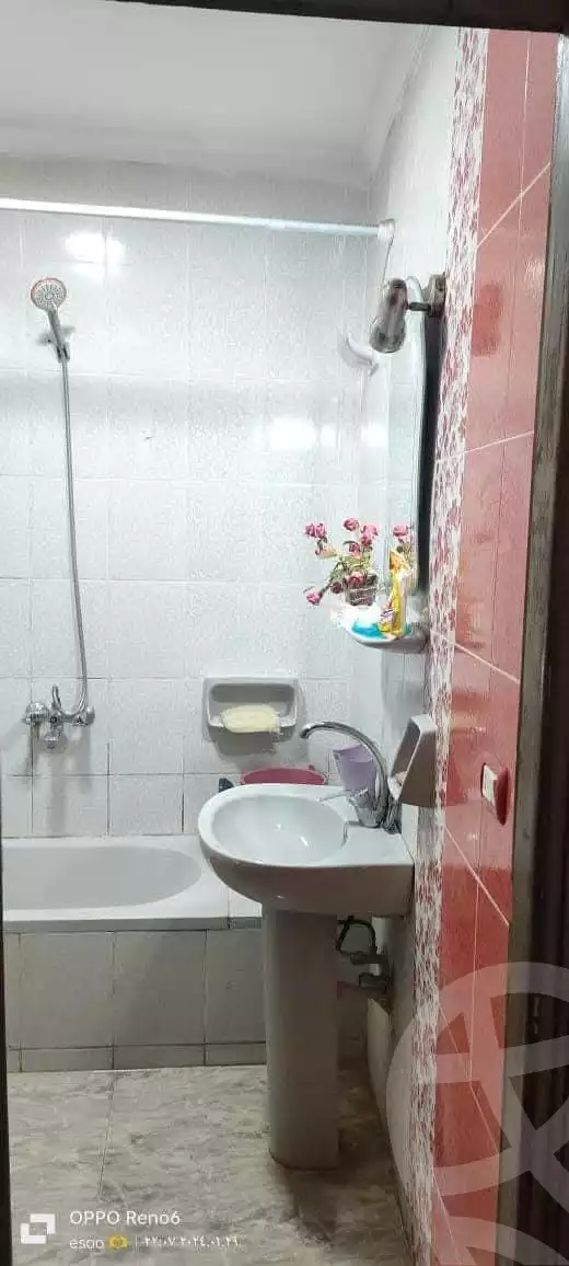 https://aqarmap.com.eg/ar/listing/5727202-for-rent-alexandria-l-jmy-lbytsh-shahr-al-assal-st