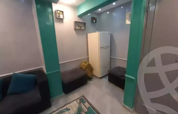 https://aqarmap.com.eg/en/listing/5728167-for-rent-cairo-manial