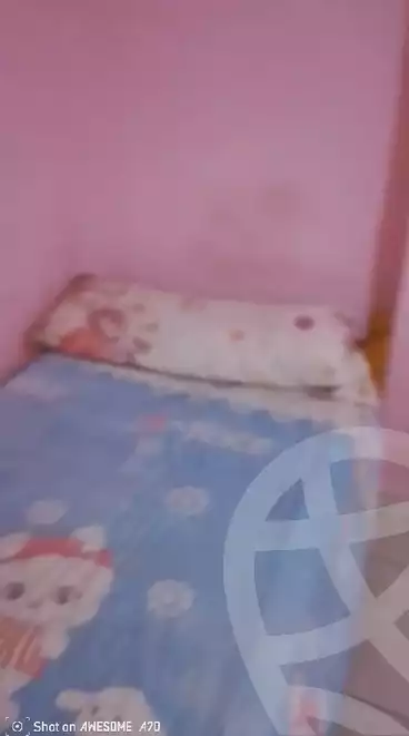 https://aqarmap.com.eg/en/listing/5735686-for-rent-cairo-nasr-city-el-hay-el-thamin-el-taba