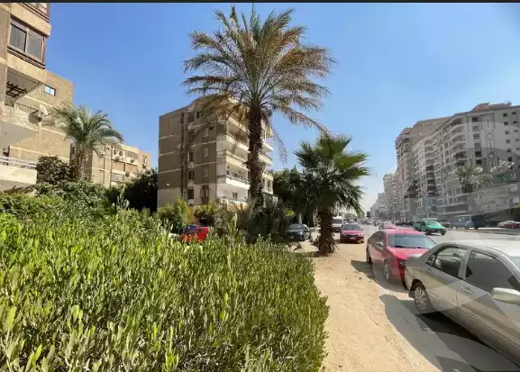 https://aqarmap.com.eg/en/listing/5736621-for-sale-cairo-nasr-city-hassan-el-mamoon