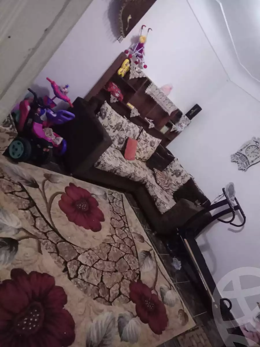 https://aqarmap.com.eg/en/listing/5737793-for-sale-alexandria-l-jmy-lbytsh-al-aeda-al-kadema-st