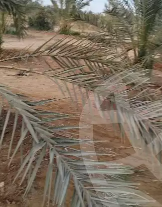 https://aqarmap.com.eg/en/listing/5738231-for-sale-cairo-ljyz-bahariya-oasis