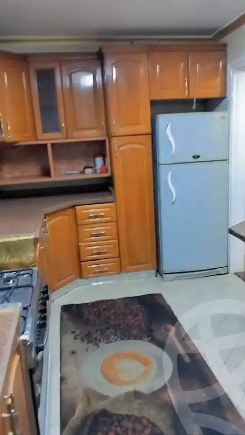 https://aqarmap.com.eg/ar/listing/5742195-for-rent-cairo-manial-manial-museum-st