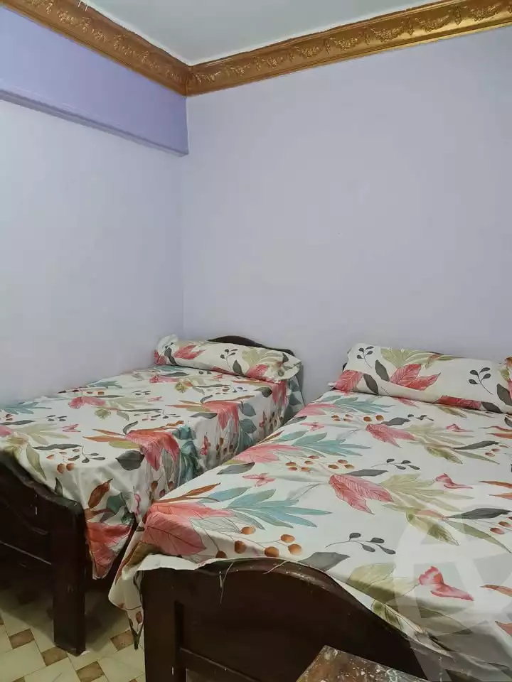 https://aqarmap.com.eg/en/listing/5744167-for-rent-alexandria-miami