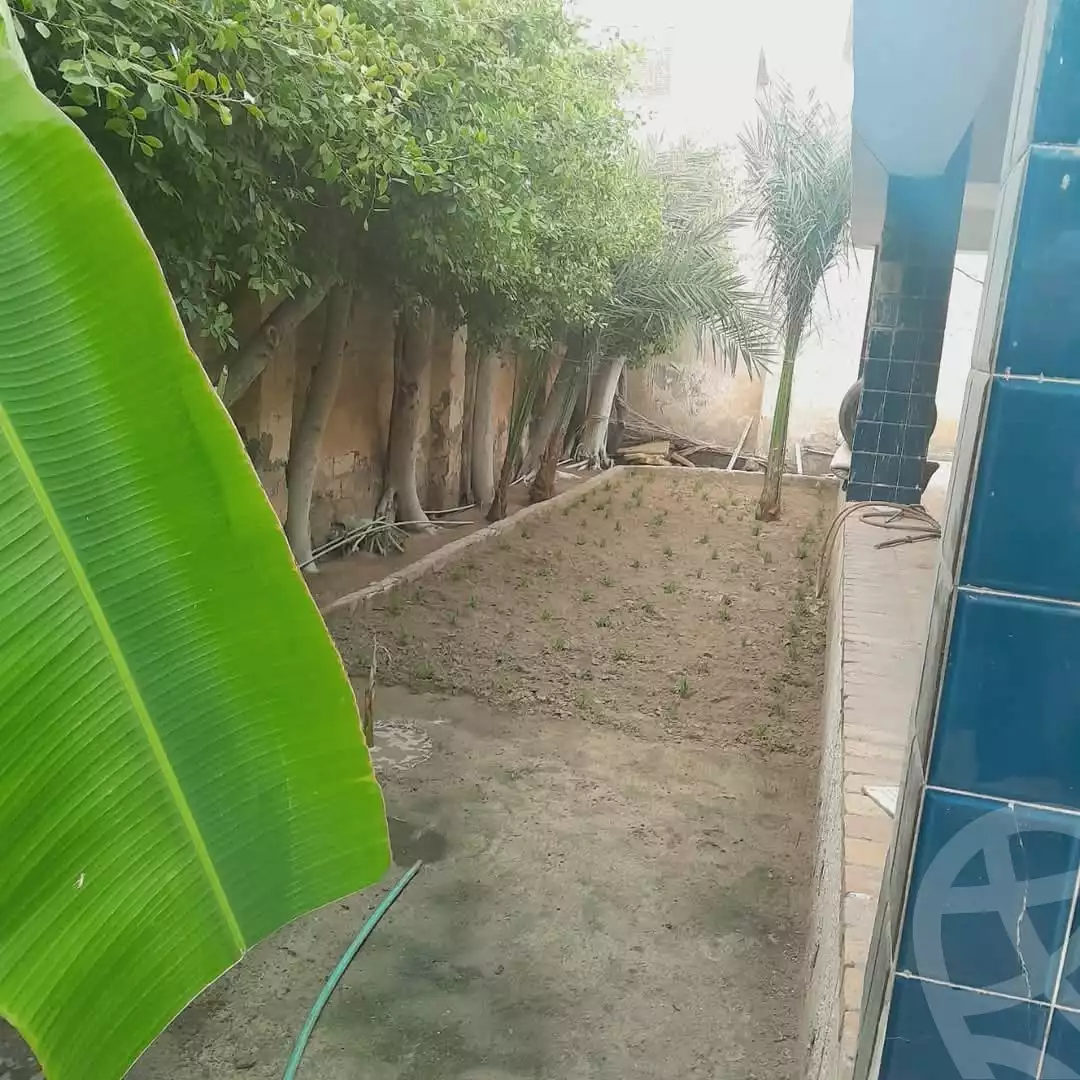 https://aqarmap.com.eg/ar/listing/5744764-for-sale-alexandria-l-jmy-lbytsh-el-hanafeya-st