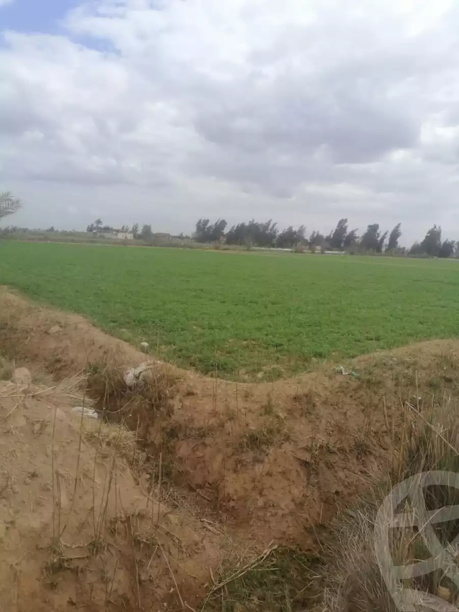 https://aqarmap.com.eg/en/listing/5749058-for-sale-alexandria-cairo-alexandria-desert-road