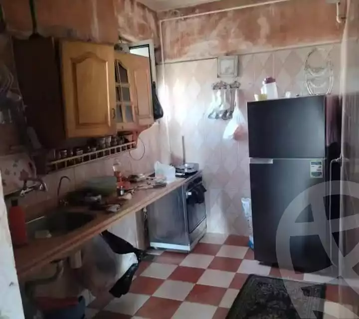 https://aqarmap.com.eg/en/listing/5749713-for-rent-alexandria-l-jmy-shataa-el-nakheel-el-shamy-st