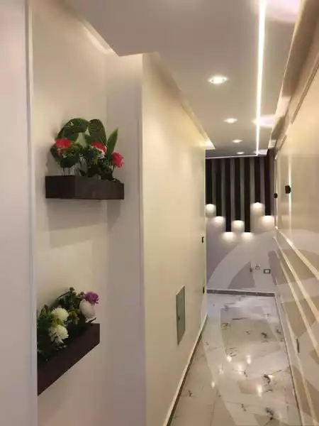 https://aqarmap.com.eg/en/listing/5750777-for-sale-cairo-mokattam-lhdb-l-ly-adly-el-melegy-st