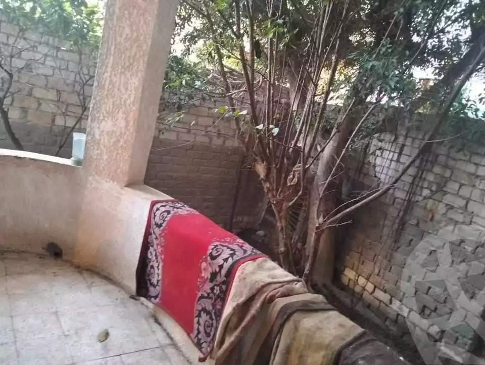 https://aqarmap.com.eg/en/listing/5765032-for-sale-alexandria-l-jmy-bw-ywsf