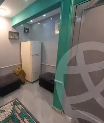 https://aqarmap.com.eg/en/listing/5765304-for-rent-cairo-manial