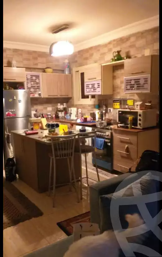 https://aqarmap.com.eg/ar/listing/5769381-for-sale-cairo-mokattam-el-hadabah-el-wosta-el-mantaqa-el-olaa-baron-school-street