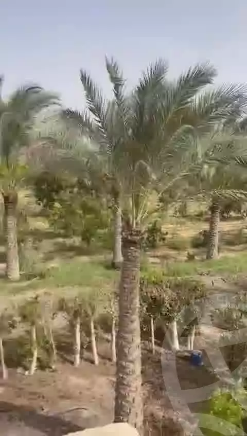 https://aqarmap.com.eg/en/listing/5774391-for-sale-cairo-el-sheikh-zayed-city-alex-cairo-desert-road