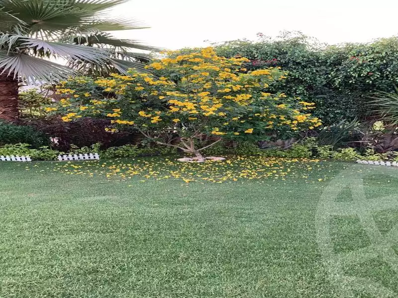https://aqarmap.com.eg/en/listing/5775019-for-rent-cairo-el-sheikh-zayed-city-compounds-greens