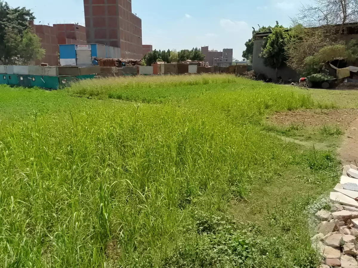 https://aqarmap.com.eg/ar/listing/5778181-for-sale-cairo-ljyz-el-warraq-jazirat-muhammad