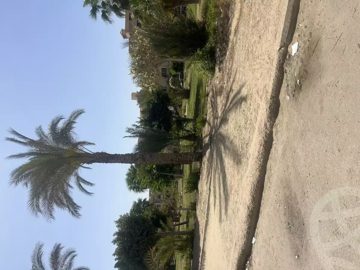 https://aqarmap.com.eg/en/listing/5778702-for-rent-cairo-new-cairo-el-ahyaa-second-neighborhood-street-66