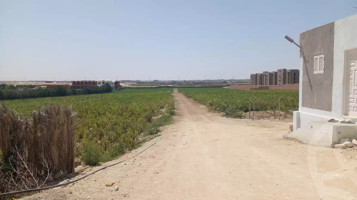 https://aqarmap.com.eg/en/listing/5779720-for-sale-beheira-wadi-el-natrun
