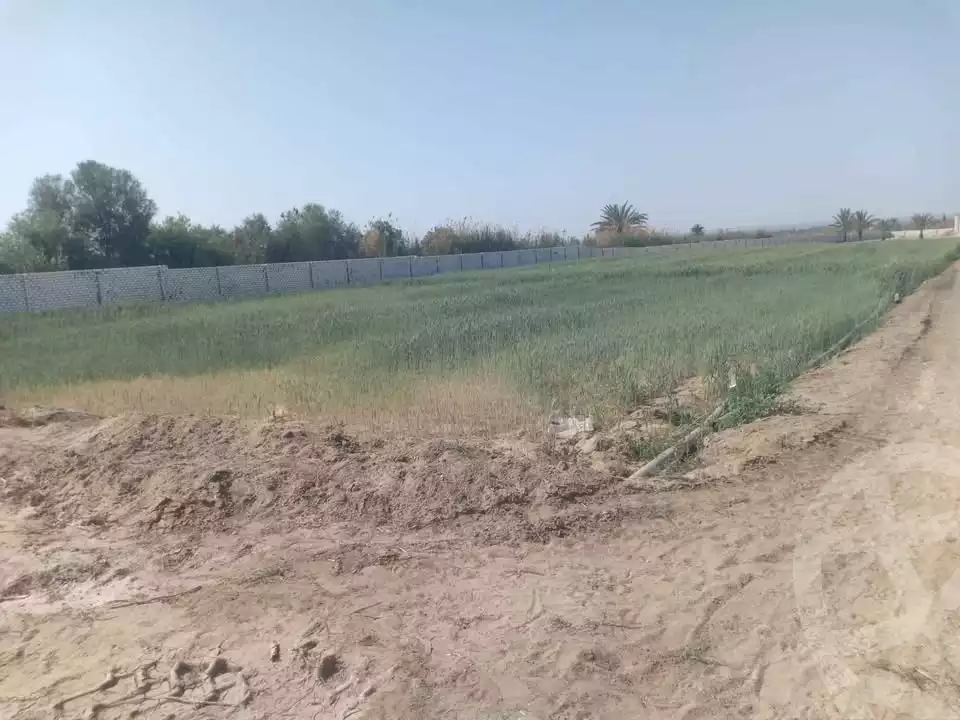 https://aqarmap.com.eg/ar/listing/5779741-for-sale-beheira-wadi-el-natrun