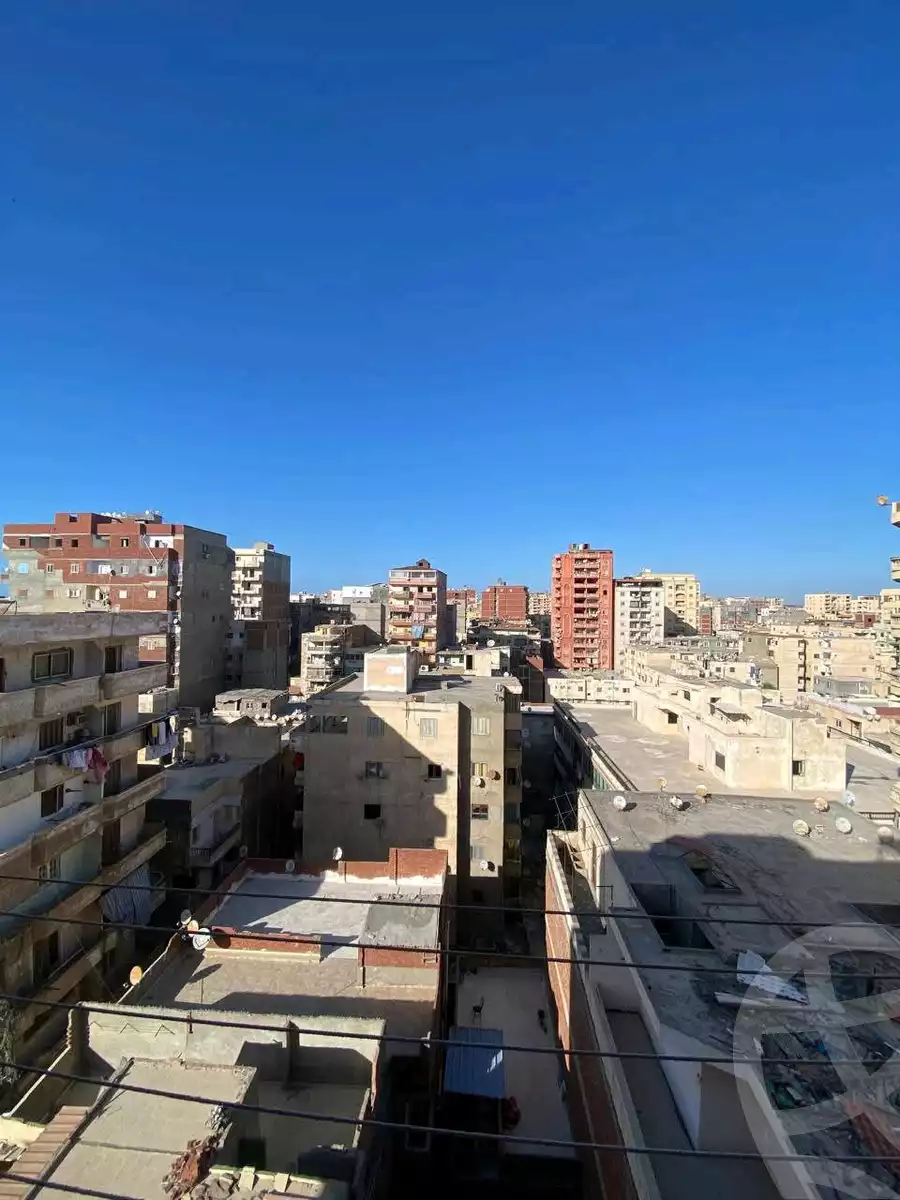 https://aqarmap.com.eg/en/listing/5786875-for-sale-alexandria-l-jmy-lbytsh-street-8