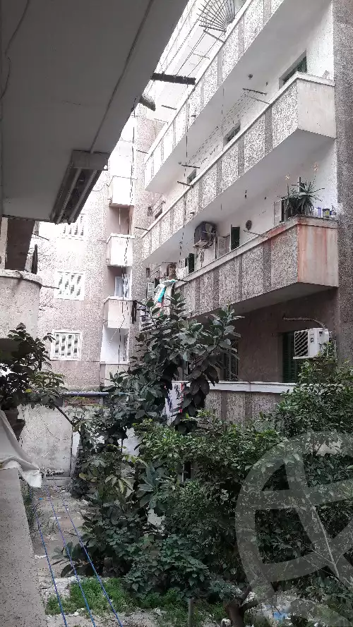 https://aqarmap.com.eg/ar/listing/5751999-for-sale-alexandria-kafr-abdo-shr-lsyd-skyn-bnt-lhsyn