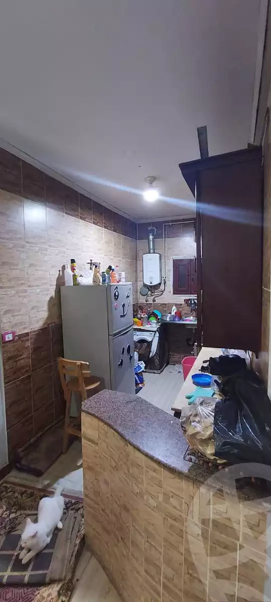 https://aqarmap.com.eg/en/listing/5792729-for-rent-cairo-helwan-el-tayaran-city