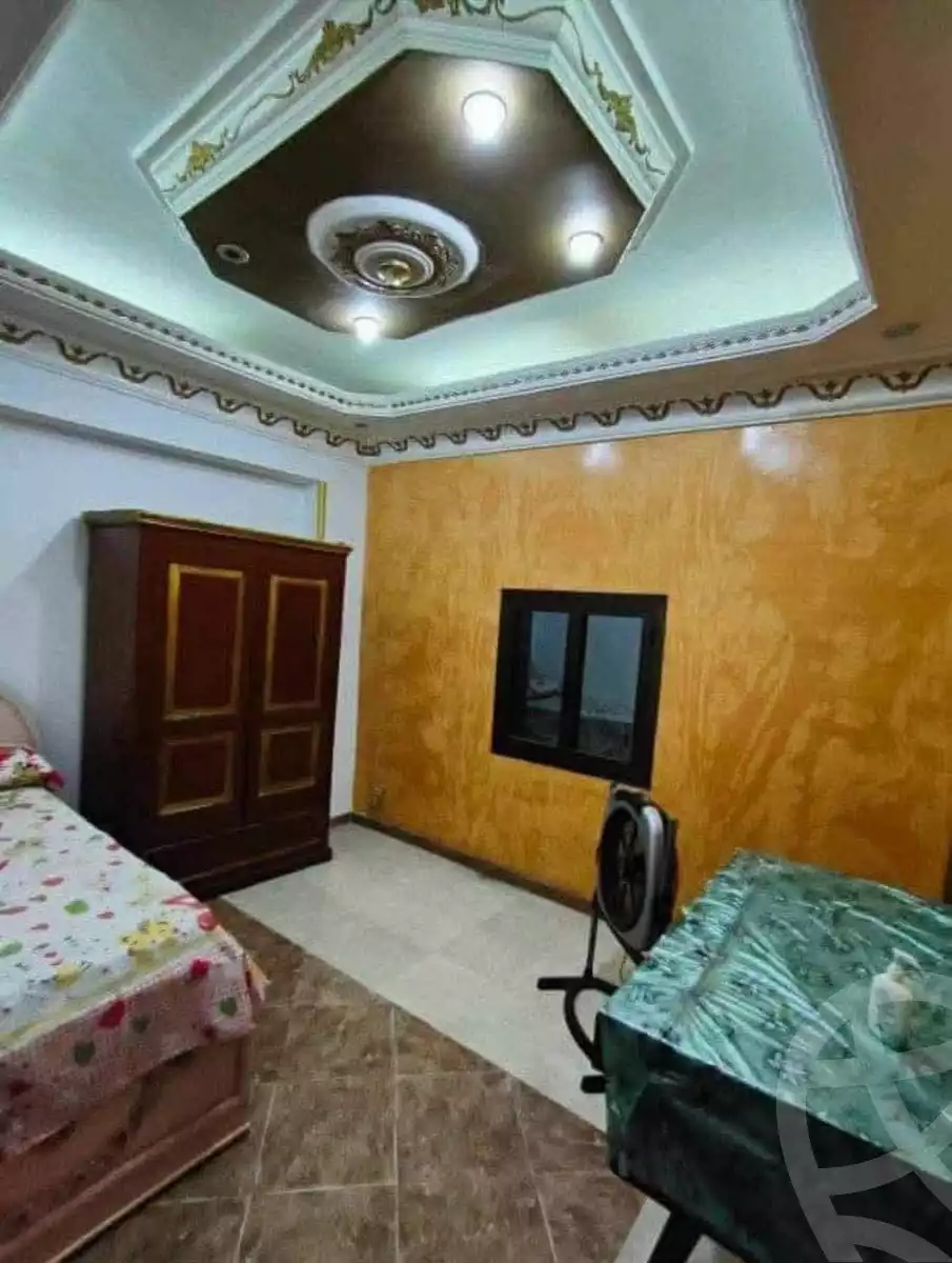 https://aqarmap.com.eg/en/listing/5797017-for-rent-sharqia-zagazig