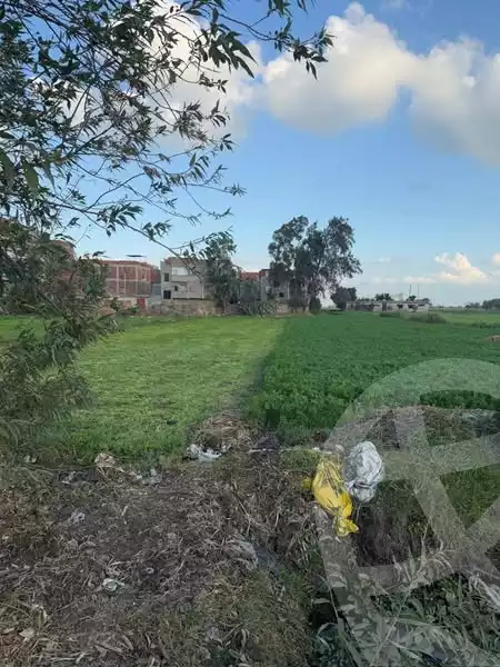 https://aqarmap.com.eg/en/listing/5799468-for-sale-dakahlia-mansoura-met-el-sarem