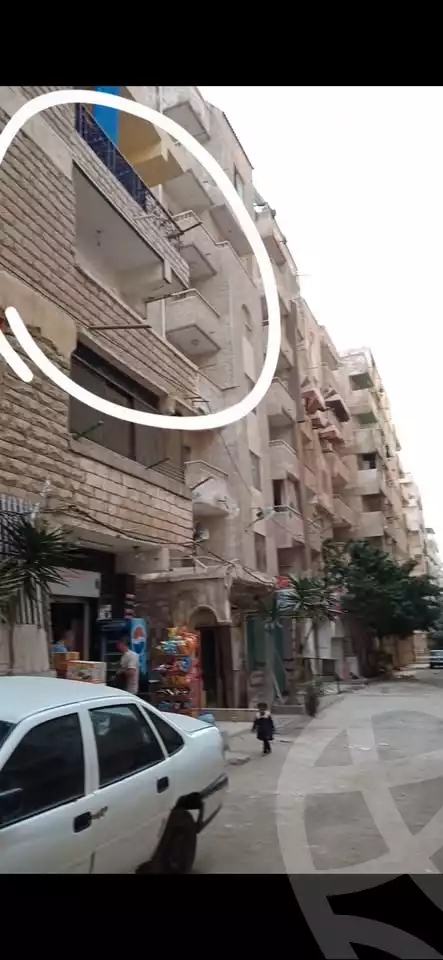 https://aqarmap.com.eg/en/listing/5801548-for-sale-alexandria-l-jmy-lbytsh-el-hanafeya-st
