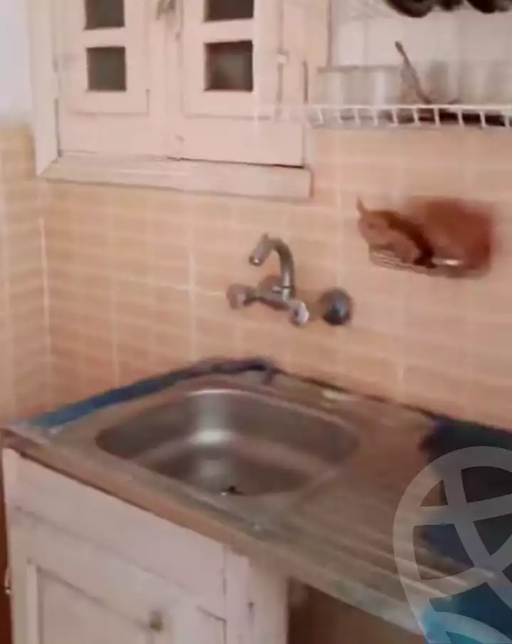 https://aqarmap.com.eg/en/listing/5802233-for-sale-alexandria-l-jmy-el-hanouvel-el-warsha-st