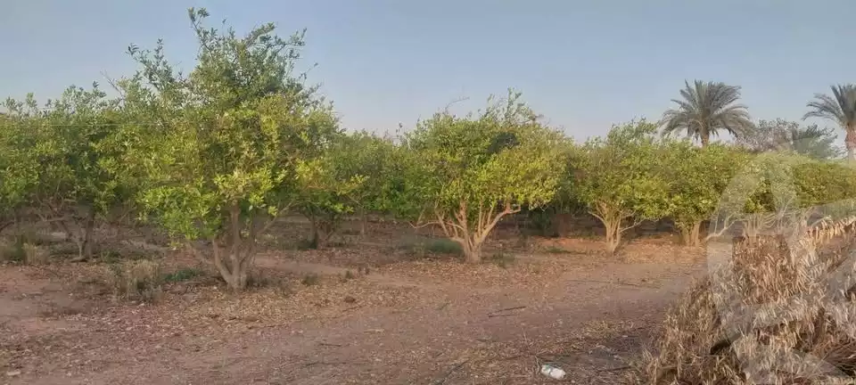 https://aqarmap.com.eg/en/listing/5803412-for-sale-alexandria-cairo-alexandria-desert-road