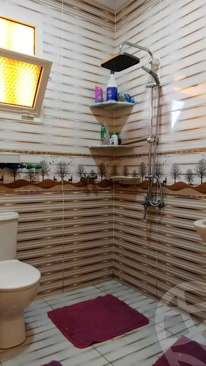 https://aqarmap.com.eg/en/listing/5805854-for-sale-alexandria-l-jmy-lbytsh-princess-st