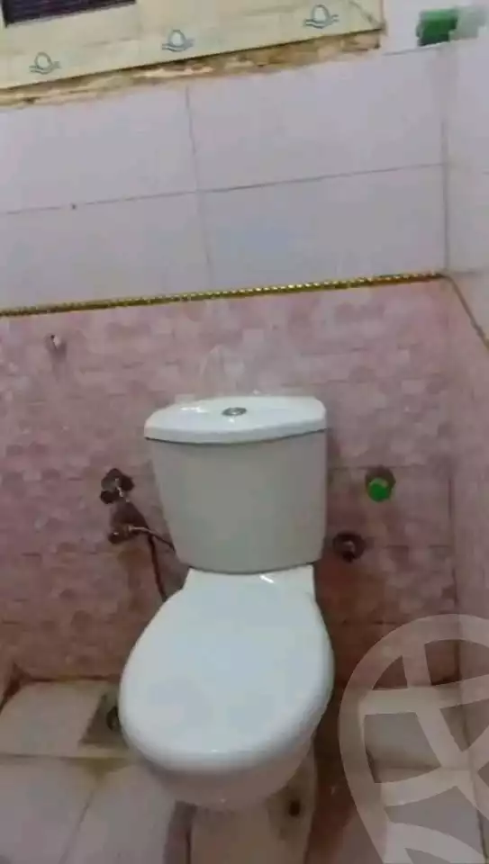 https://aqarmap.com.eg/en/listing/5808397-for-rent-cairo-el-haram-el-lebeny-el-magzar-el-aly-st