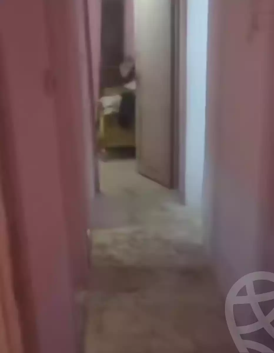 https://aqarmap.com.eg/en/listing/5812802-for-sale-alexandria-l-jmy-el-hanouvel