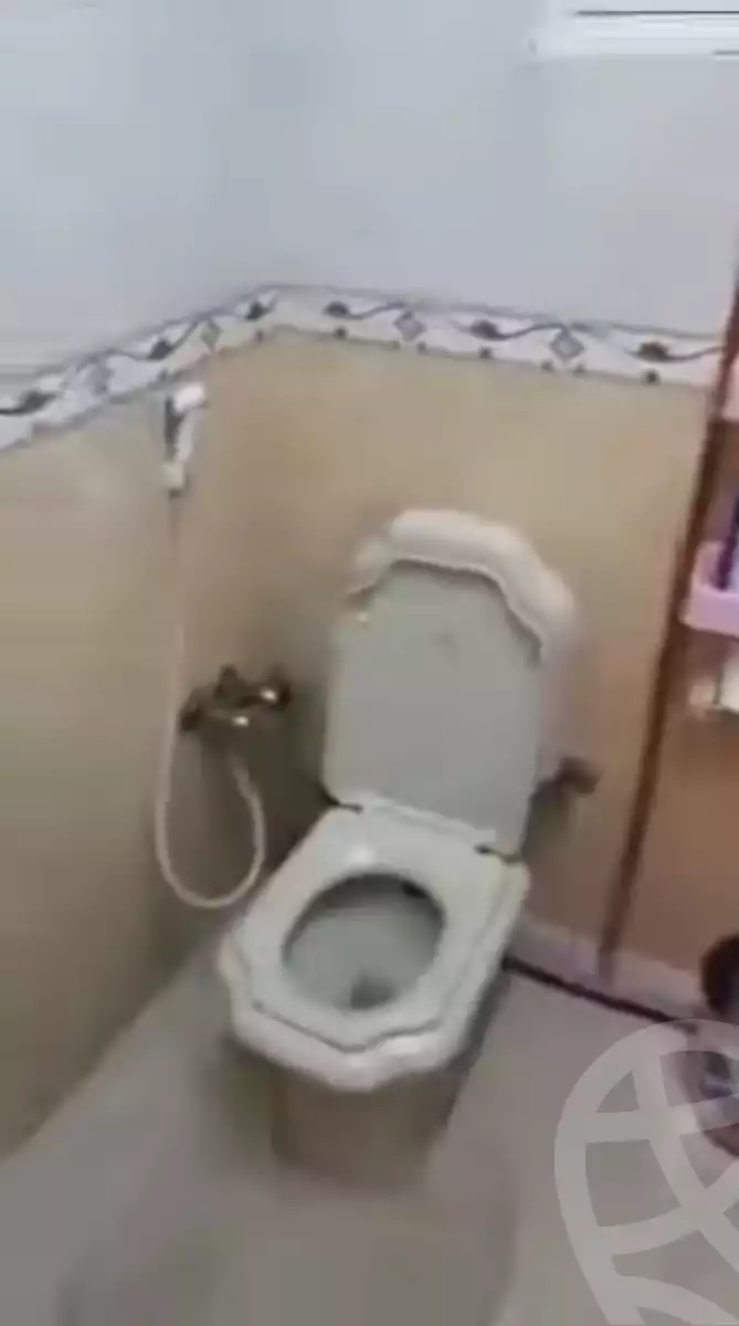 https://aqarmap.com.eg/en/listing/5817218-for-sale-sharqia-zagazig