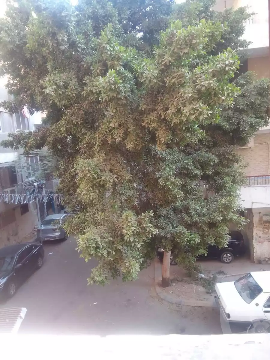 https://aqarmap.com.eg/en/listing/5822080-for-sale-cairo-el-haram-el-talbya-el-wafaa-st