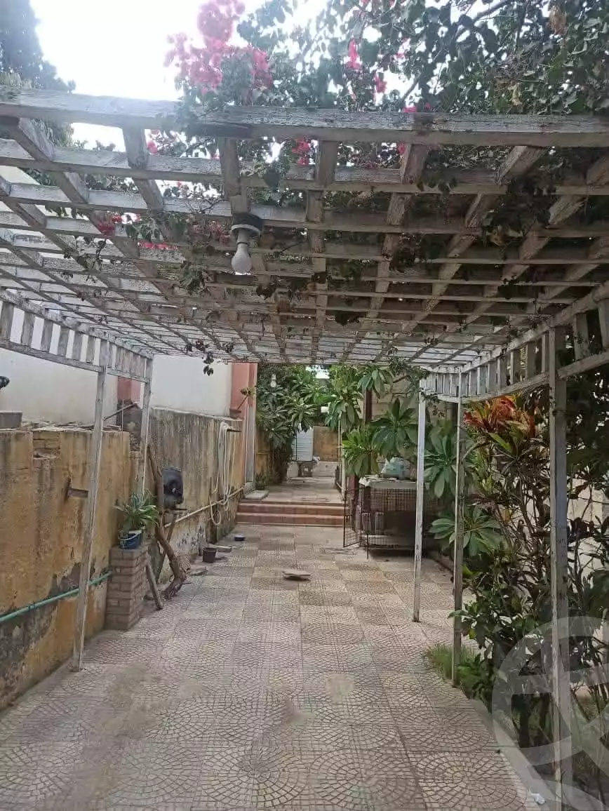 https://aqarmap.com.eg/en/listing/5822208-for-sale-alexandria-l-jmy-lbytsh-el-batal-ahmed-abd-el-aziz-belbis-st