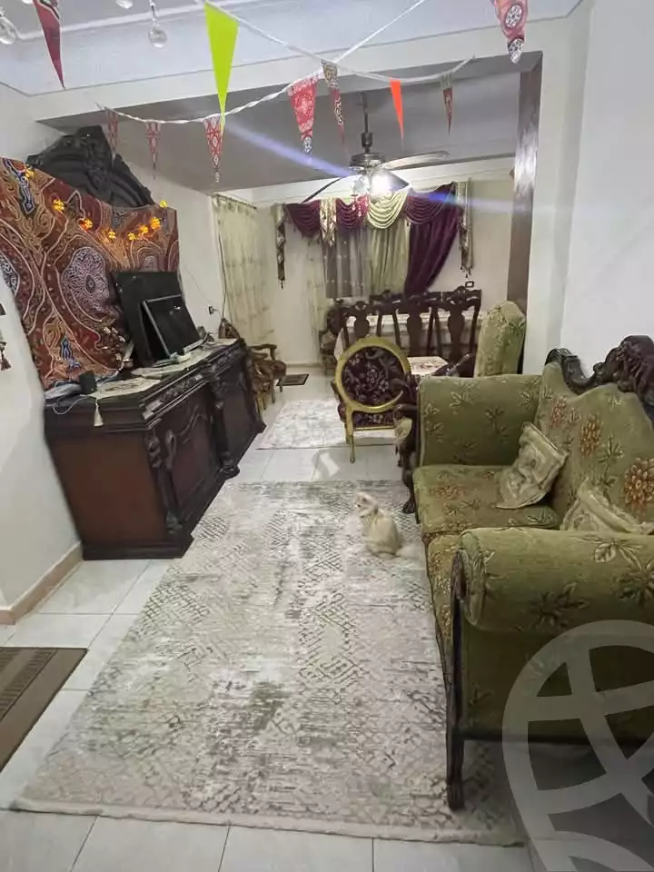 https://aqarmap.com.eg/en/listing/5822551-for-sale-alexandria-l-jmy-lbytsh-el-hanafeya-st