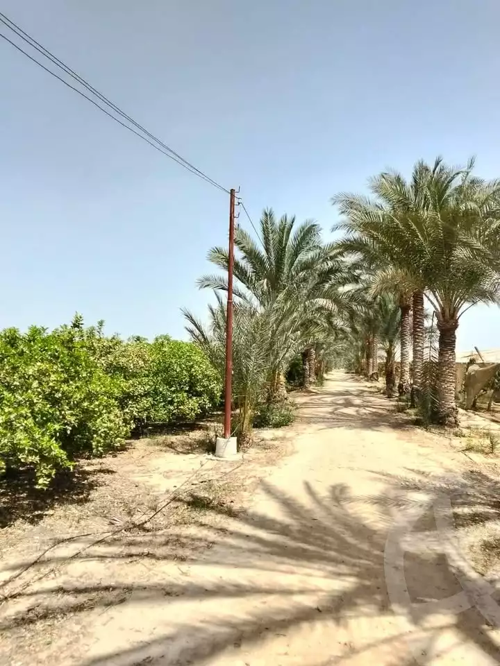 https://aqarmap.com.eg/en/listing/5824183-for-sale-alexandria-cairo-alexandria-desert-road