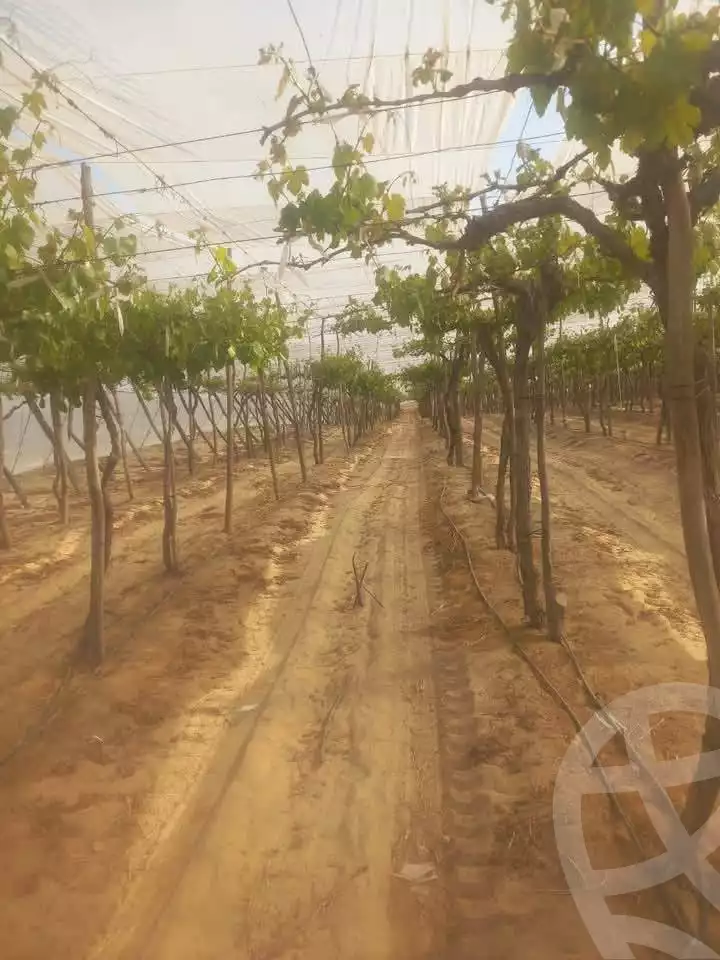 https://aqarmap.com.eg/en/listing/5824189-for-sale-alexandria-cairo-alexandria-desert-road