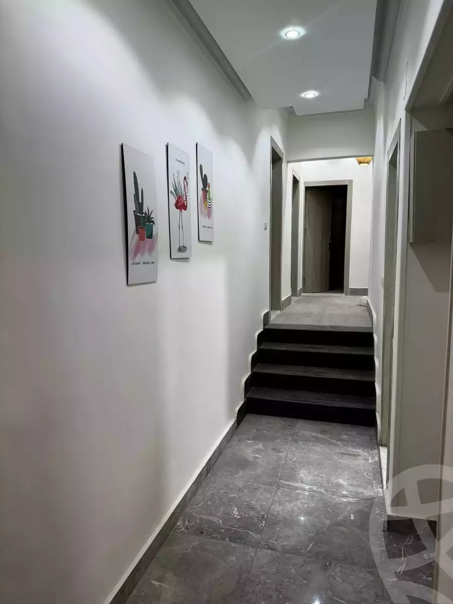 https://aqarmap.com.eg/en/listing/5827629-for-rent-cairo-dokki-mohey-el-din-abo-el-ezz